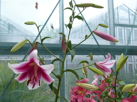 Foto: Dr. Peter Müller